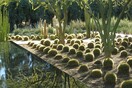 Sunnylands: Ένας φανταστικός κήπος για όσους αγαπούν τους κάκτους