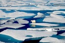 Ρεκόρ υψηλής θερμοκρασίας στην Αρκτική - Στους 38 βαθμούς Κελσίου το θερμόμετρο