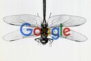 Dragonfly - To μυστικοπαθές πρότζεκτ της Google στην Κίνα κατηγορείται για λογοκρισία και παρακολούθηση