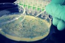 Μια μικροβιακή «Κιβωτό του Νώε» προτείνουν επιστήμονες για την προστασία της παγκόσμιας υγείας