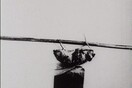Η μύγα-ακροβάτης, ένα απίστευτο φιλμ του 1910