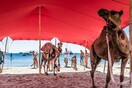 Καταγγελία στην Αστυνομία για τις καμήλες στο πάρτι χλιδής του Nammos