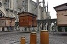 Ζωντανές οι μέλισσες στην Παναγία των Παρισίων - Πώς κατάφεραν να σωθούν από την πυρκαγιά