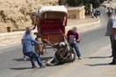 Σοκαριστικό βίντεο για βασανιστήρια σε ζώα στην Αίγυπτο προκαλεί αντιδράσεις