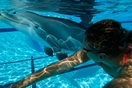 Τα ρομποτικά δελφίνια των 22 εκατ. ευρώ που δεν ξεχωρίζουν από τα αληθινά