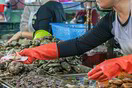 Κίνα: Ίχνη κορωνοϊού βρέθηκαν σε συσκευασίες εισαγόμενων κατεψυγμένων θαλασσινών