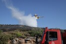 Σε εξέλιξη επιχείρηση της Πυροσβεστικής για πυρκαγιές σε Χαλκιδική και Γύθειο