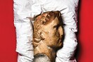O αρχαιοελληνικός αμφορέας και τα πολύτιμα αντικείμενα της μυθικής συλλογής των Ροκφέλερ που δημοπρατούνται