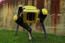 O σκύλος ρομπότ της Boston Dynamics ανοίγει και πόρτες