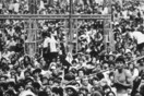 Το Φεστιβάλ Woodstock επιστρέφει για τον εορτασμό των 50 χρόνων από τη διοργάνωση του '69
