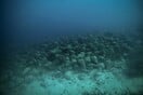 Αλόννησος: Το πρώτο υποβρύχιο μουσείο της Ελλάδας ανοίγει τις «υδάτινες πύλες του»