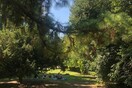 Έργα ανάδειξης σε Εθνικό Κήπο και λόφο Φιλοπάππου- Χρηματοδότηση 2,12 εκατ. από το Πράσινο Ταμείο