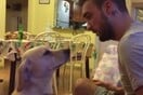 Ο πιo στεναχωρημένος σκύλος του κόσμου ζητάει συγγνώμη από το αφεντικό του