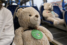 Φινλανδία: Λούτρινα αρκουδάκια κάθονται στις «απαγορευμένες θέσεις» των λεωφορείων