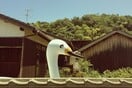 Η Ιαπωνία της Εύας Μανιδάκη σε 52 φωτογραφίες