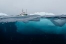 Αυτές είναι οι πρώτες φωτογραφίες με τα σπάνια πλάσματα που ζουν στον βυθό της Ανταρκτικής