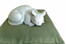 H χαμένη γάτα του Μονέ επέστρεψε σπίτι της στο Giverny