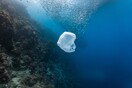 Το Κοινωφελές Ίδρυμα Αθανασίου Κ. Λασκαρίδη πρωταγωνιστεί στη μάχη για να γίνει η χώρα plastic-free