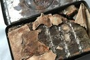 Royal box of chocolates from 1900 discovered in war helmet