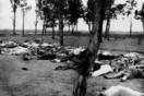 Η αναγνώριση της γενοκτονίας των Αρμενίων είναι ιστορική απόφαση