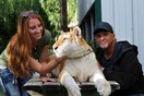 Κατασχέθηκαν δεκάδες τίγρεις και λιοντάρια στο πάρκο άγριων ζώων του «Tiger King»