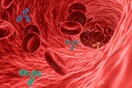 Έρευνα: Βλάβες στα αγγεία και το αίμα για 1 στους 4 μετά την νόσηση από Covid
