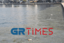 Θεσσαλονίκη: Γέμισε με σκουπίδια και φύκια ο Θερμαϊκός (Εικόνες & Βίντεο)