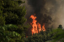 Φωτιά στη Φωκίδα- Εντολή εκκένωσης και για τον Τολοφώνα