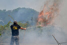 Μαίνονται οι φωτιές στην Πελοπόννησο – Κάηκε παρθένο δάσος στη Γορτυνία