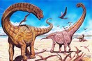 Δύο νέα είδη «γίγα»-δεινοσαύρων ανακαλύφθηκαν στην Κίνα - Η ελληνική αναφορά στις ονομασίες τους 