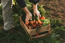 4 αγροκτήματα φέρνουν φρέσκα λαχανικά και φρούτα στην πόρτα μας