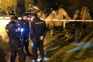 Μαδρίτη: 8 καμήλες και ένα λάμα έκαναν βόλτα στους δρόμους- Απέδρασαν από τσίρκο