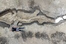 Πελώριο απολίθωμα «θαλάσσιου δράκου» ανακαλύφθηκε σε τεχνητή λίμνη - 