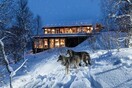 Σώθηκαν «για φέτος», με δικαστική απόφαση, οι λύκοι της Νορβηγίας