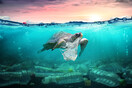 End plastic waste: Η adidas στέλνει ένα ηχηρό μήνυα για την πλαστική ρύπανση