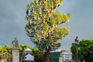 Έτοιμο το «Δέντρο των δέντρων», το γλυπτό για το πλατινένιο ιωβηλαίο της βασίλισσας Ελισάβετ 