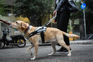 Καταδικάστηκε οδηγός ταξί που αρνήθηκε να επιβιβάσει τυφλή λόγω του σκύλου της - Άσκησε βία σε βάρος του ζώου