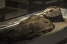 ΤΡΙΤΗ Η θανατηφόρα τοξίνη που βρέθηκε στις αρχαιότερες μούμιες του κόσμου/The deadly toxin found in the world's oldest mummies