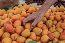 Η «συμμορία των φρούτων»: Παρίσταναν ότι μοιράζουν δωρεάν φαγητό και λήστευαν ηλικιωμένους
