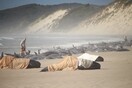 Ταζμανία: 230 φάλαινες ξεβράστηκαν σε ακτή- Σχεδόν οι μισές είναι νεκρές
