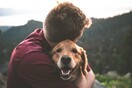 Σκύλοι θεραπείας: Πολλαπλά οφέλη από τις συνεδρίες με ειδικά εκπαιδευμένα τετράποδα