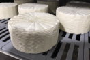 Για πρώτη φορά στην Ελλάδα παρήγαγαν τυρί από μη παστεριωμένο αγελαδινό γάλα