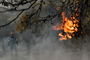 Φωτιά στη Λακωνία- Σε δασική έκταση