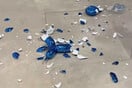 Μαϊάμι: Επισκέπτης σε γκαλερί έσπασε κατά λάθος ένα γλυπτό σκύλου του Τζεφ Κουνς - Τώρα θέλουν να αγοράσουν τα θραύσματα
