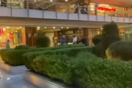 Θεσσαλονίκη: Βίντεο-ντοκουμέντο από επεισόδιο σε εμπορικό κέντρο – Εξετάζονται οπαδικά κίνητρα