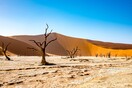 Κλιματική αλλαγή: Η χειρότερη ξηρασία εδώ και 40 χρόνια στο Κέρας της Αφρικής