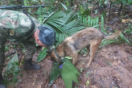 Πρόεδρος Κολομβίας: «Βρέθηκαν ζωντανά 4 παιδιά που αγνοούνταν στη ζούγκλα για πάνω από 15 μέρες»