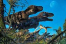 Ανακαλύφθηκε νέο είδος σαρκοφάγου δεινόσαυρου- Μελέτησαν απολιθώματα