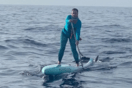ΗΠΑ: Έκανε SUP την ώρα που δίπλα της περνούσε καρχαρίας 500 κιλών- Πώς διατήρησε τη ψυχραιμία της