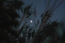 Δύο πανσέληνοι μέσα στον Αύγουστο- Η υπερπανσέληνος του «οξύρρυγχου» και το σπάνιο μπλε φεγγάρι